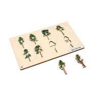 Types of Pine Trees Puzzle