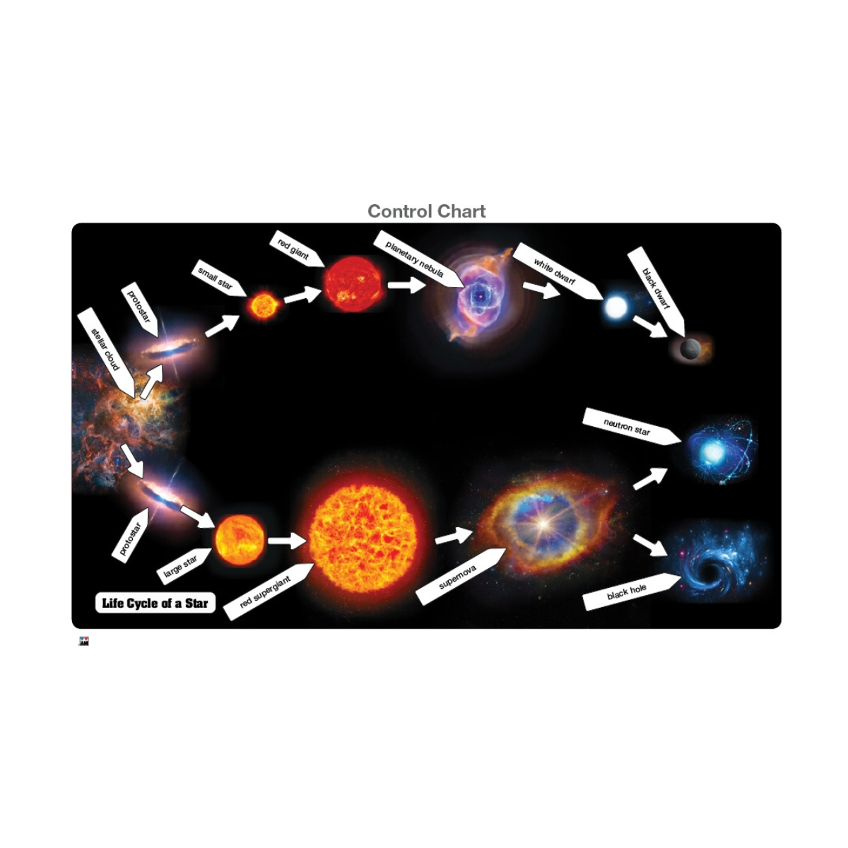 Life Cycle of a Star Puzzle with Nomenclature Cards (6-9)