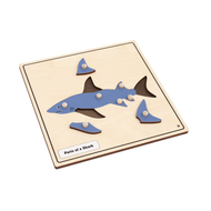 Parts of a Shark Knobbed Puzzle