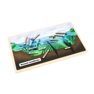 Oceanic Landforms Puzzle