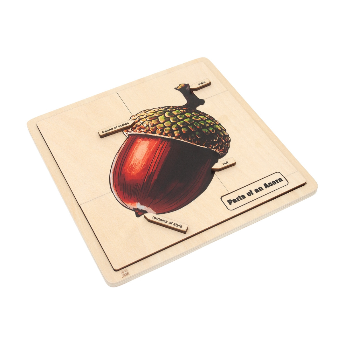 Parts of an Acorn Puzzle
