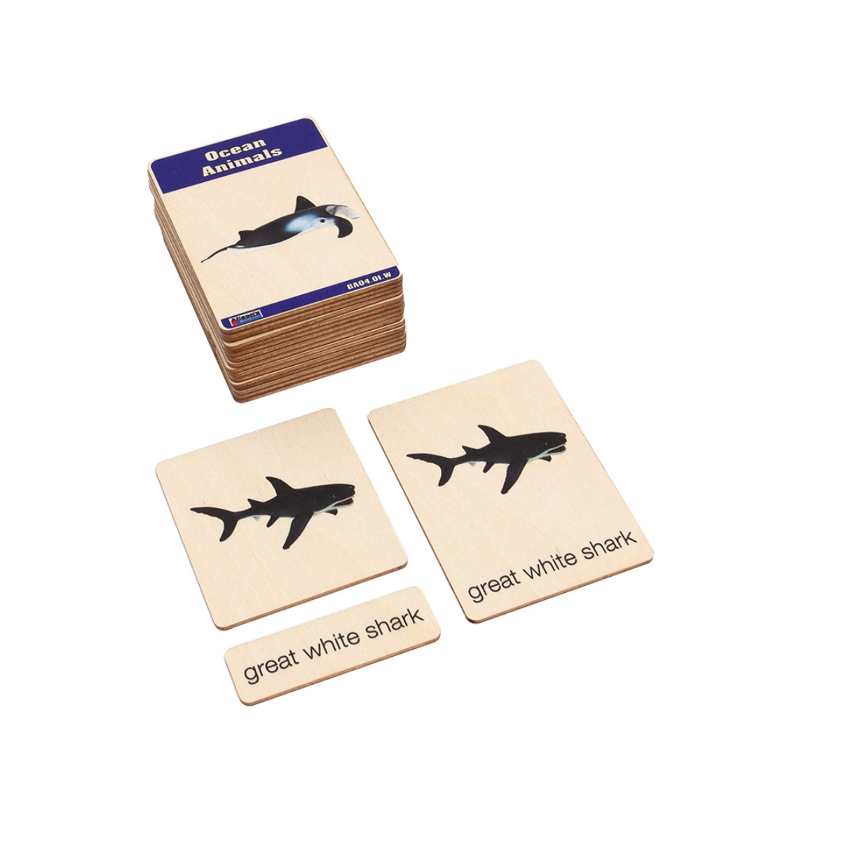 Ocean Animals Wooden Nomenclature Cards (3-6) (Printed)