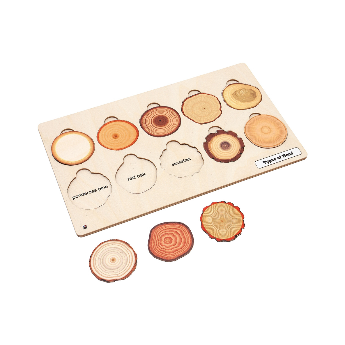 Types of Wood Puzzle with Nomenclature Cards 3-6 (Printed)