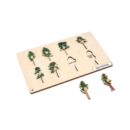 Types of Pine Trees Puzzle