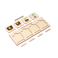 Life Cycle Puzzle: Bean Plant