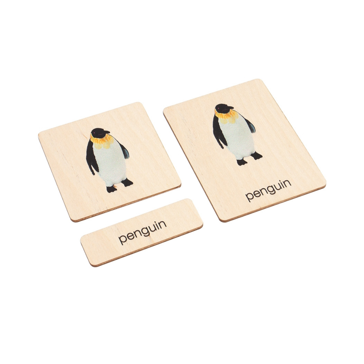 Polar Region Animals Wooden Nomenclature Cards (3-6) (Printed)