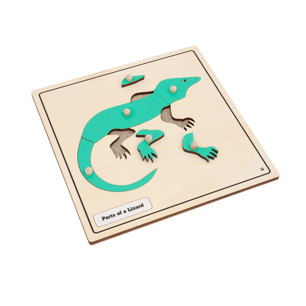 Lizard Sticker Puzzle Parts of a Lizard Knobbed Puzzle – Alison's Montessori Asia