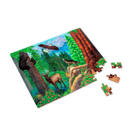 Temperate Coniferous Forest Biome - Jigsaw Puzzle