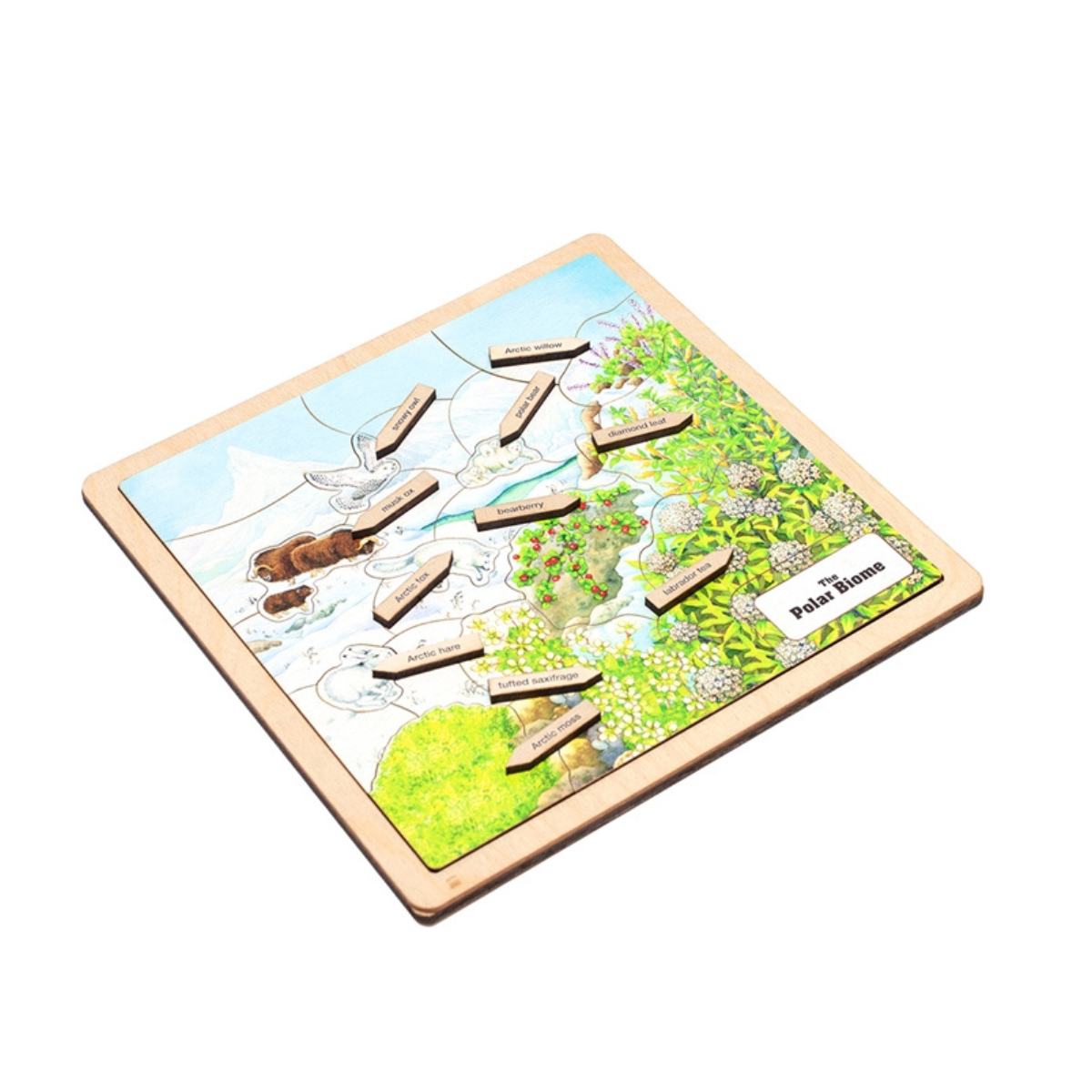 Polar Biome Puzzle