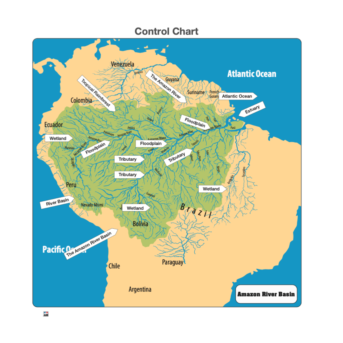 Amazon River Basin Puzzle