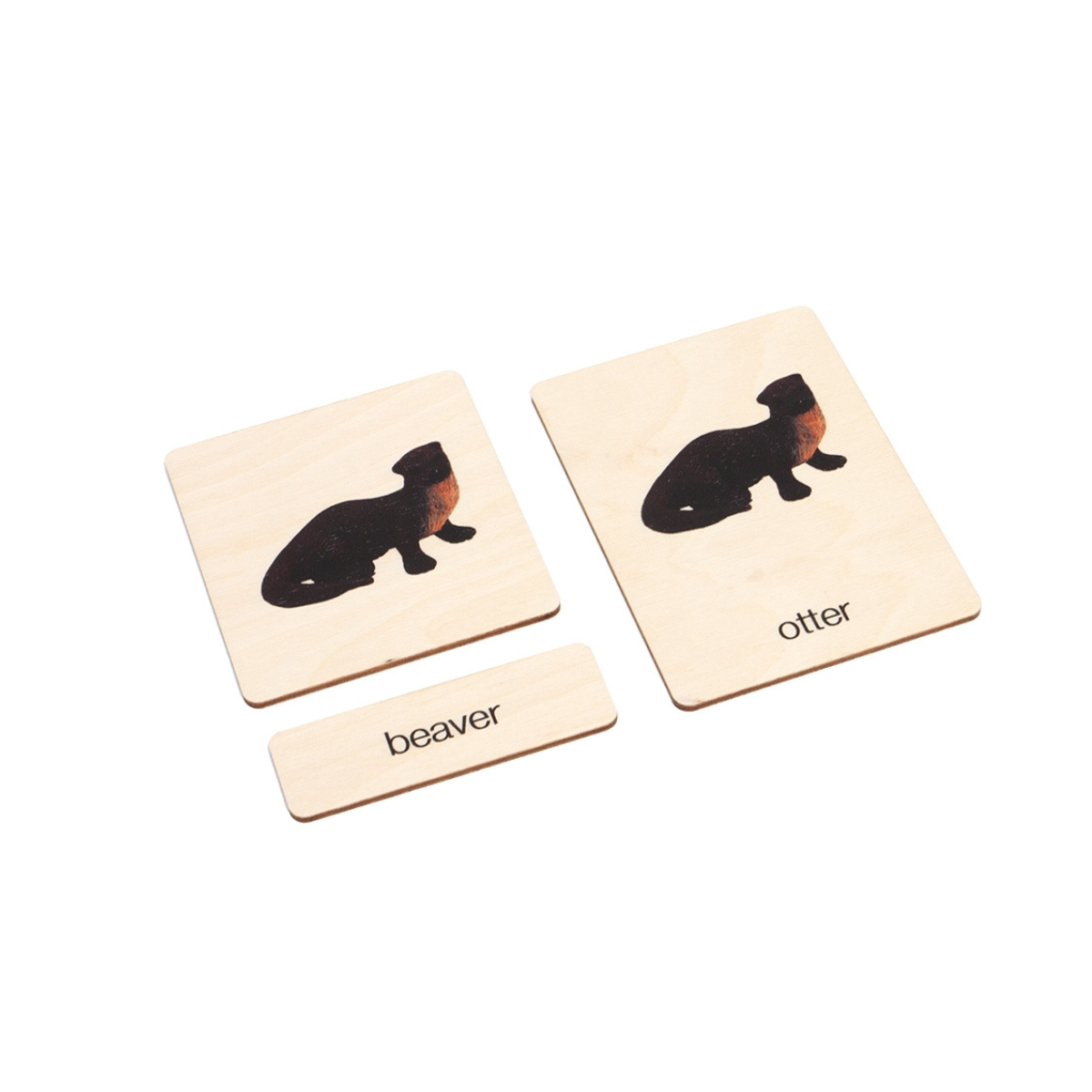 Wetlands Animals Wooden Nomenclature Cards (3-6) (Printed)