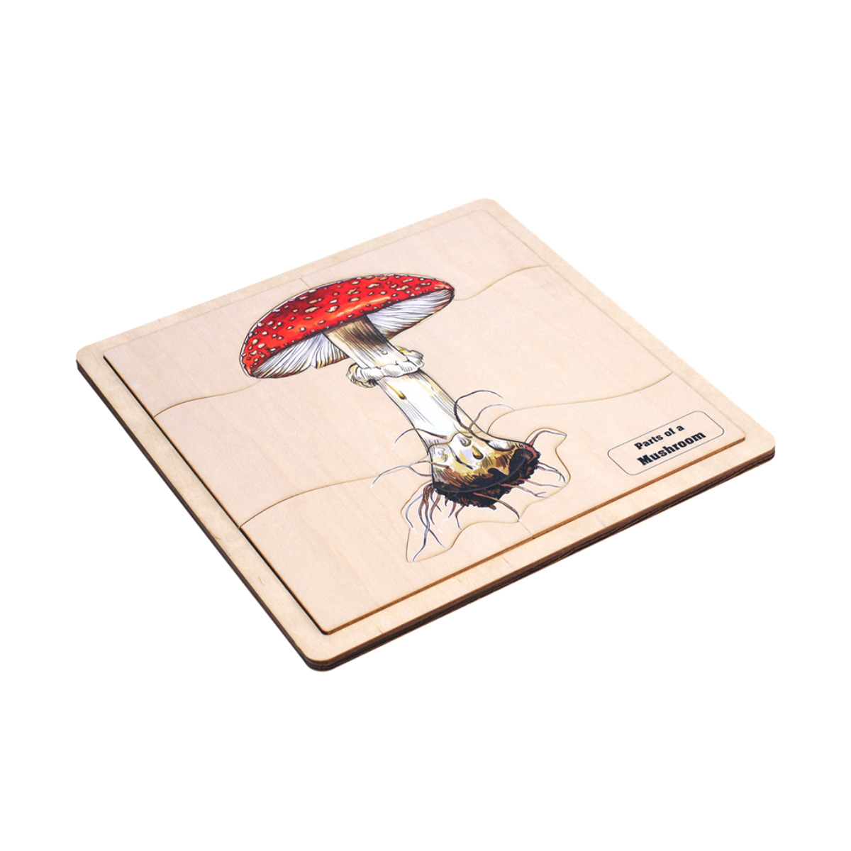 Parts of a Mushroom Puzzle