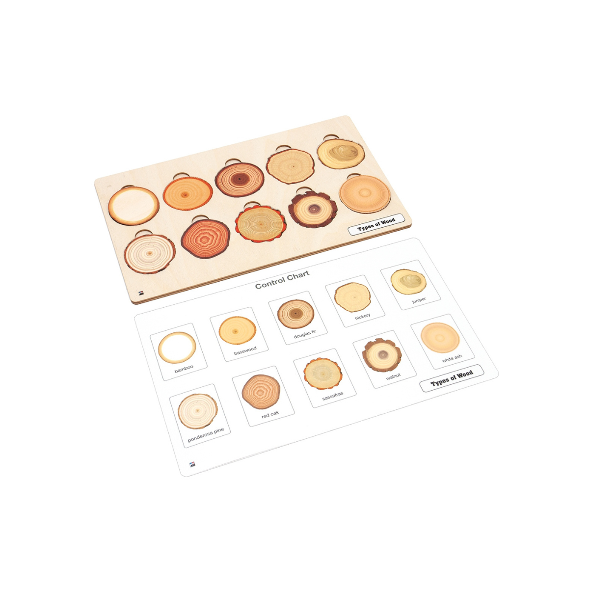 Types of Wood Puzzle with Nomenclature Cards 6-9 (Printed)