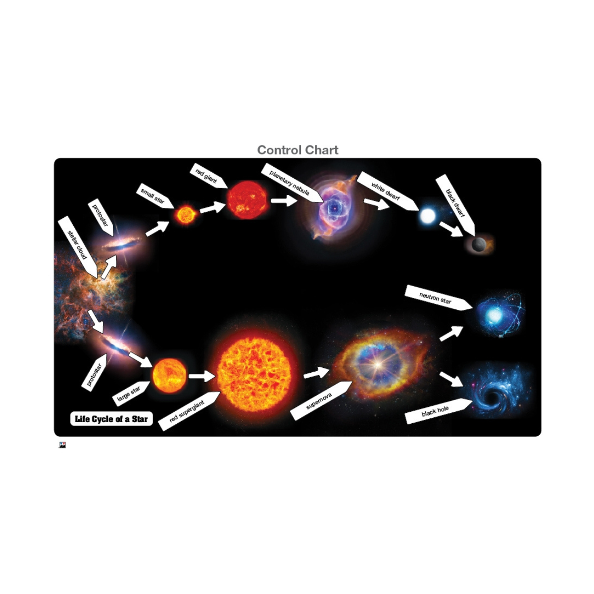 Life Cycle of a Star Puzzle