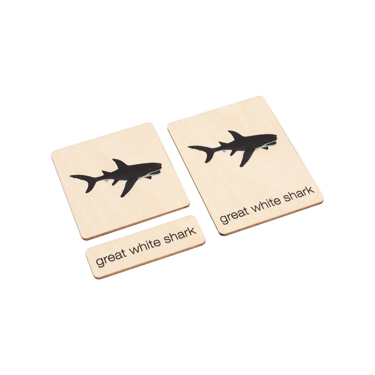 Ocean Animals Wooden Nomenclature Cards (3-6) (Printed)