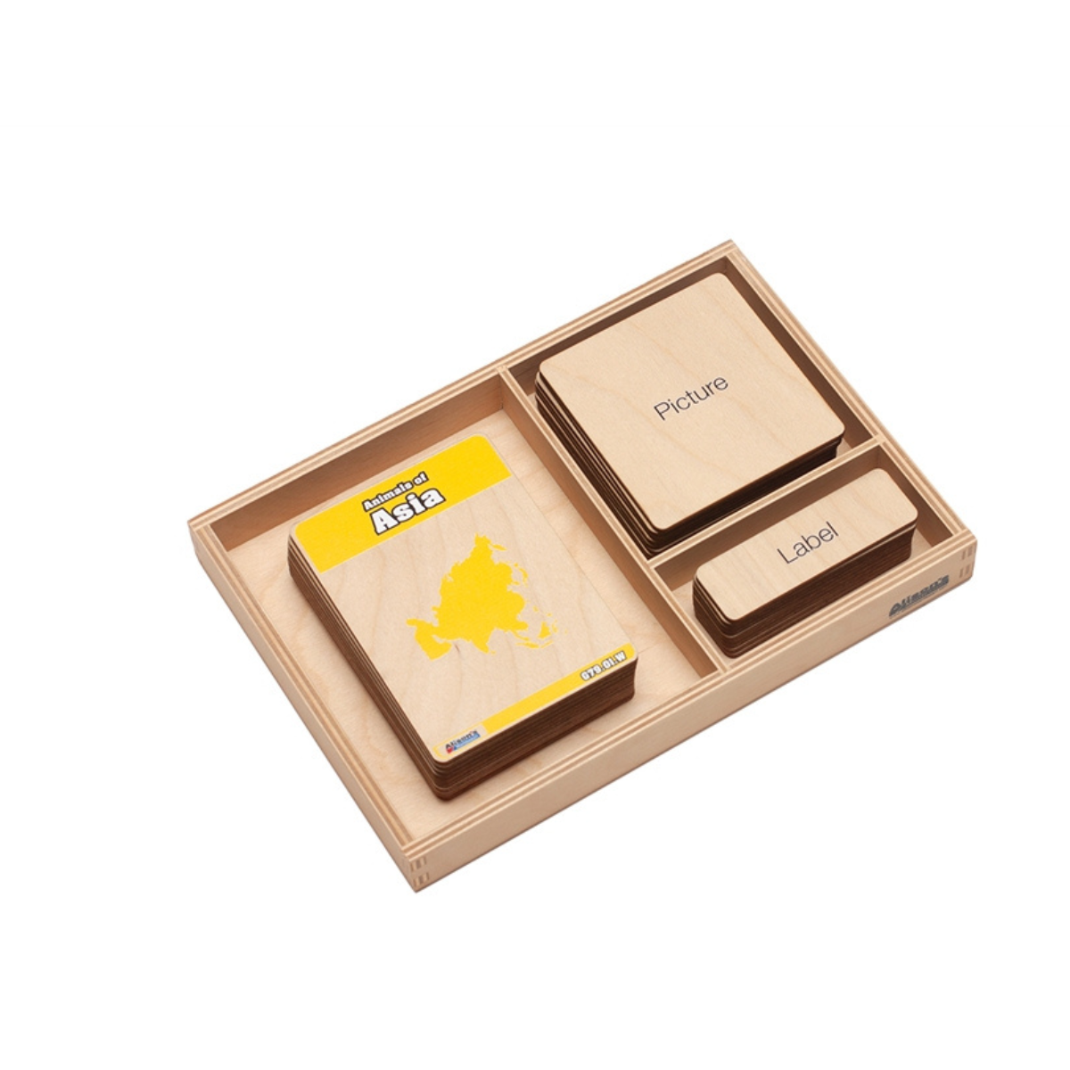 Animals of Asia Wooden Nomenclature Cards (3-6) (Printed)