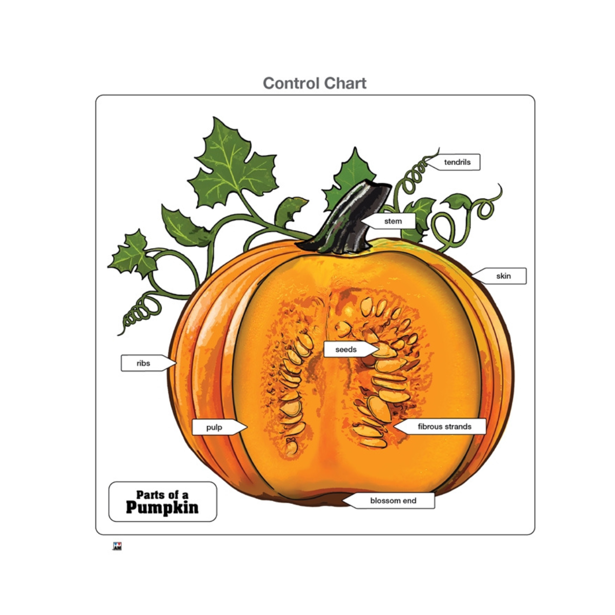 Parts of a Pumpkin puzzle with Nomenclature Cards (3-6)
