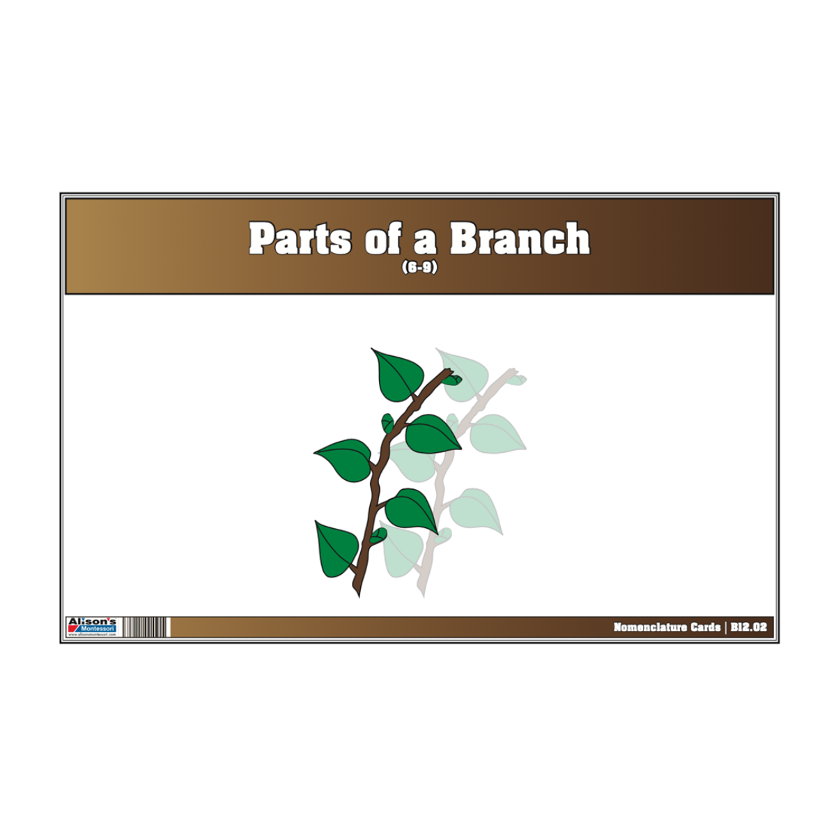 Parts of a Branch Puzzle with Nomenclature Cards (6-9)