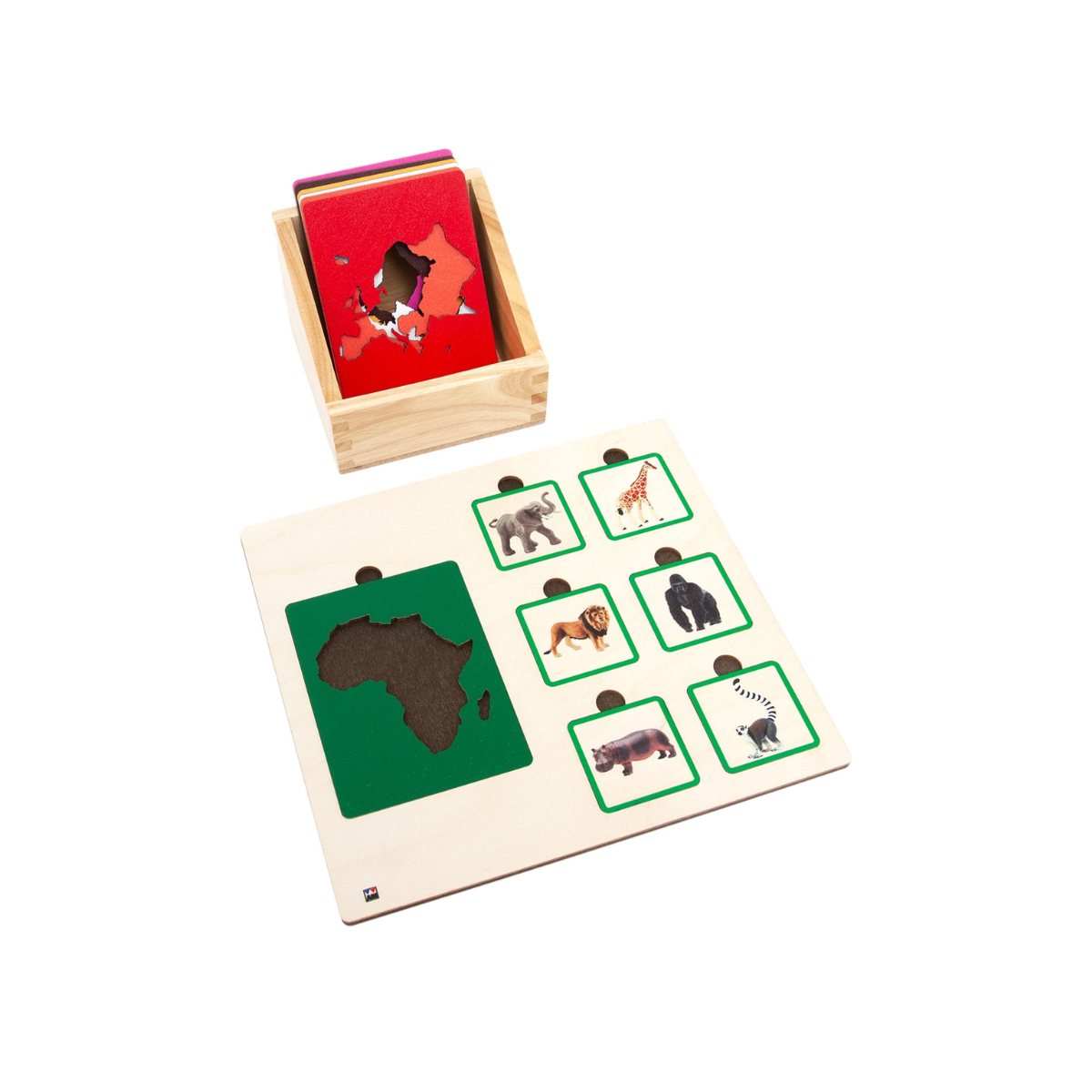 Continents and Their Animals Sorting Tiles