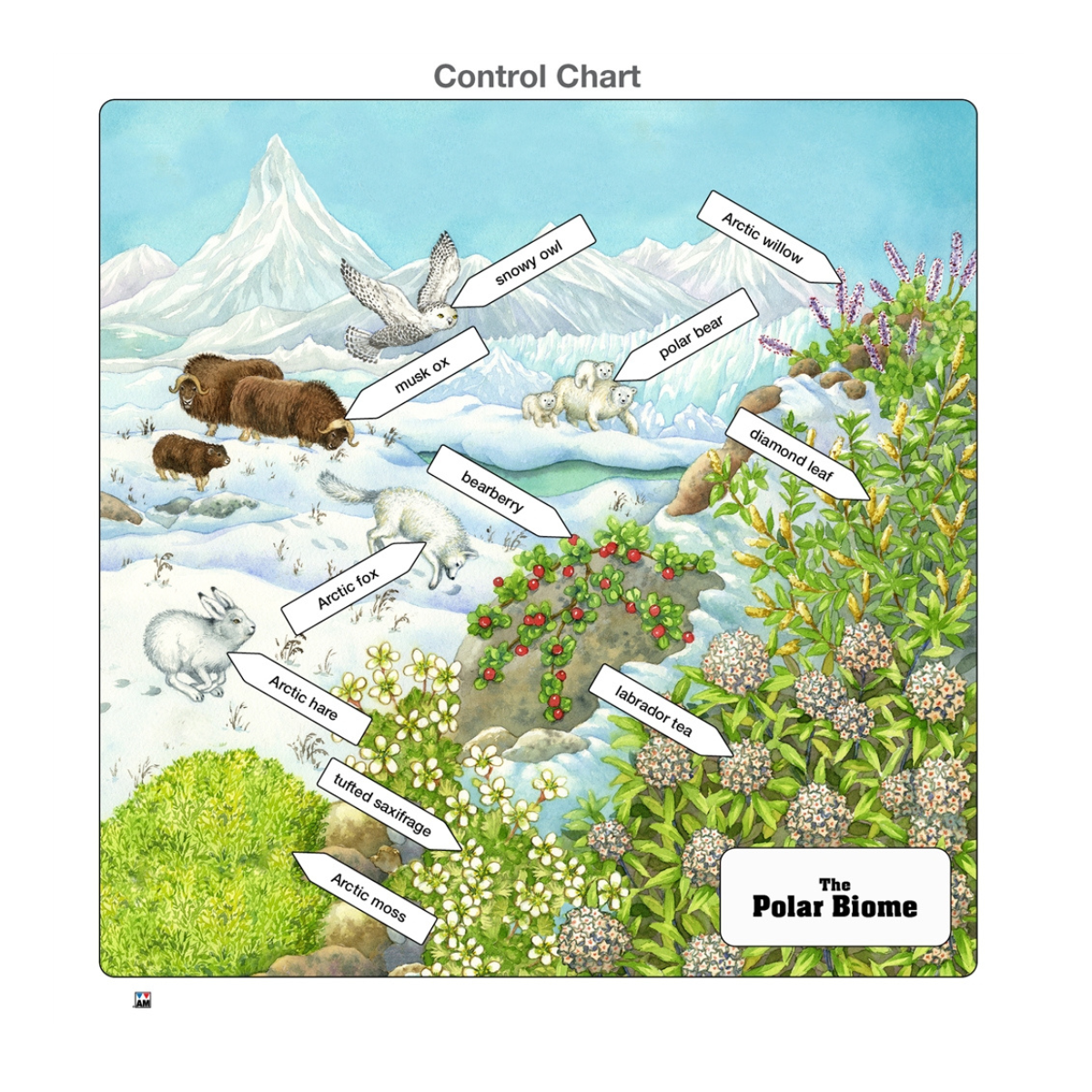 Polar Biome Puzzle