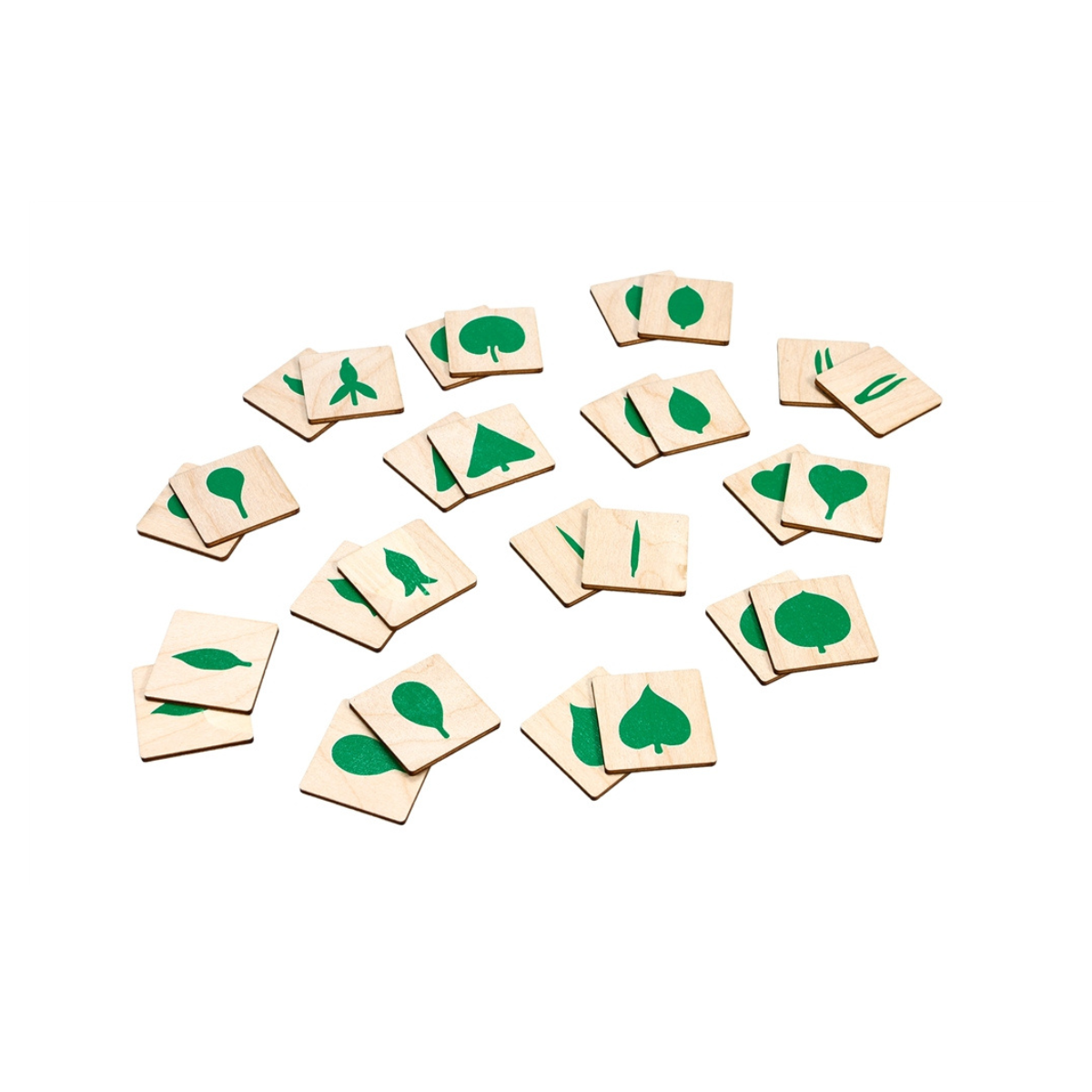 Wooden Memory Game: Types of Leaves