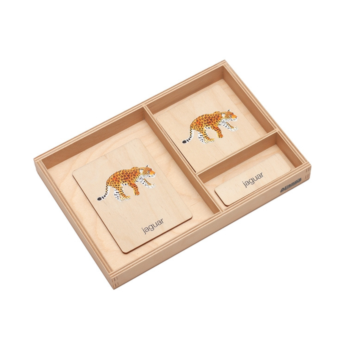 Animals of South America Wooden Nomenclature Cards (3-6) (Printed)