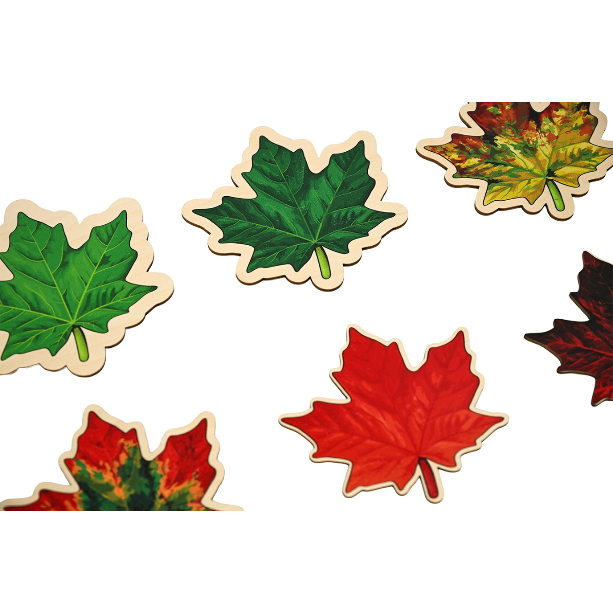 Life of a Maple Leaf Layered Puzzle