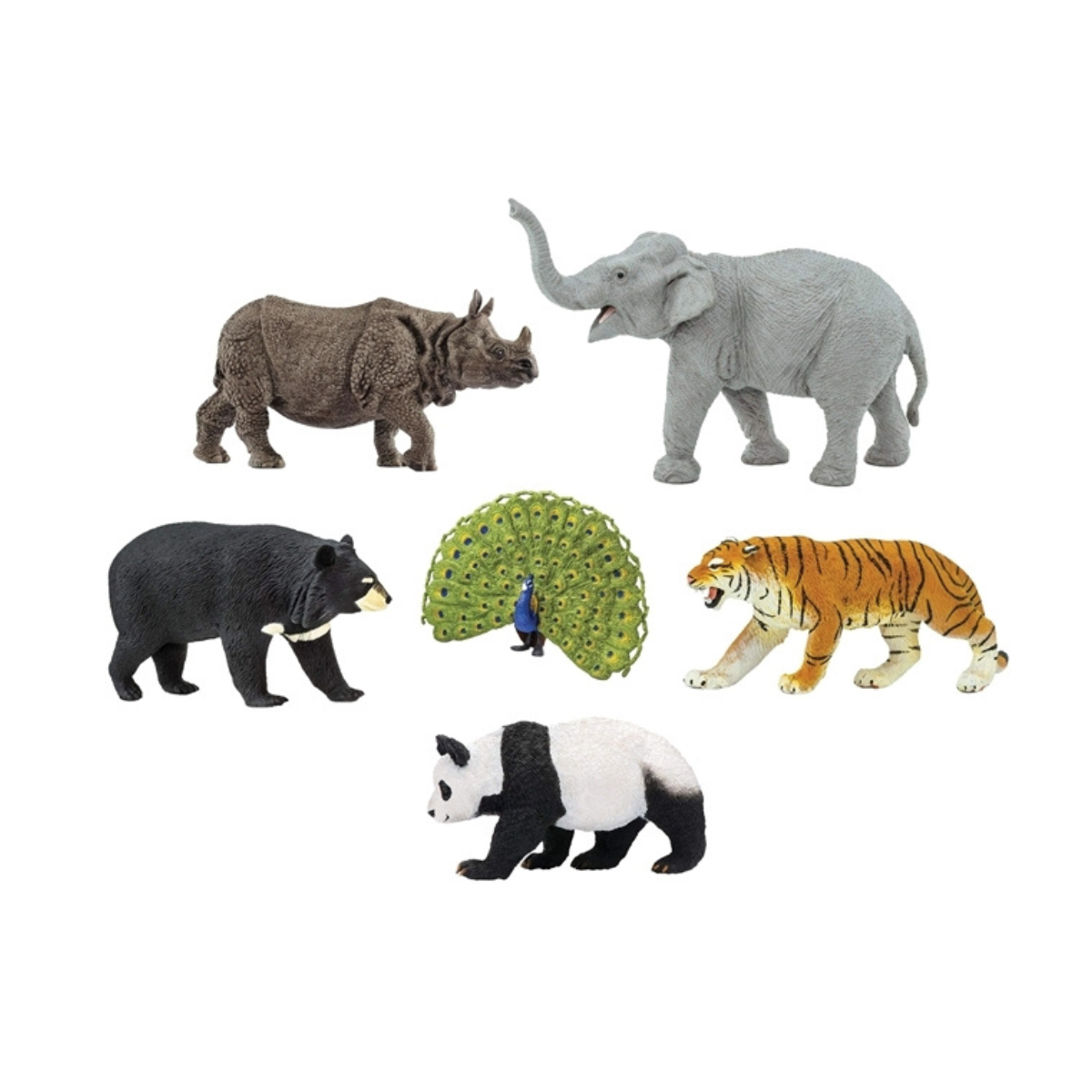 Collection of all Animals of the World