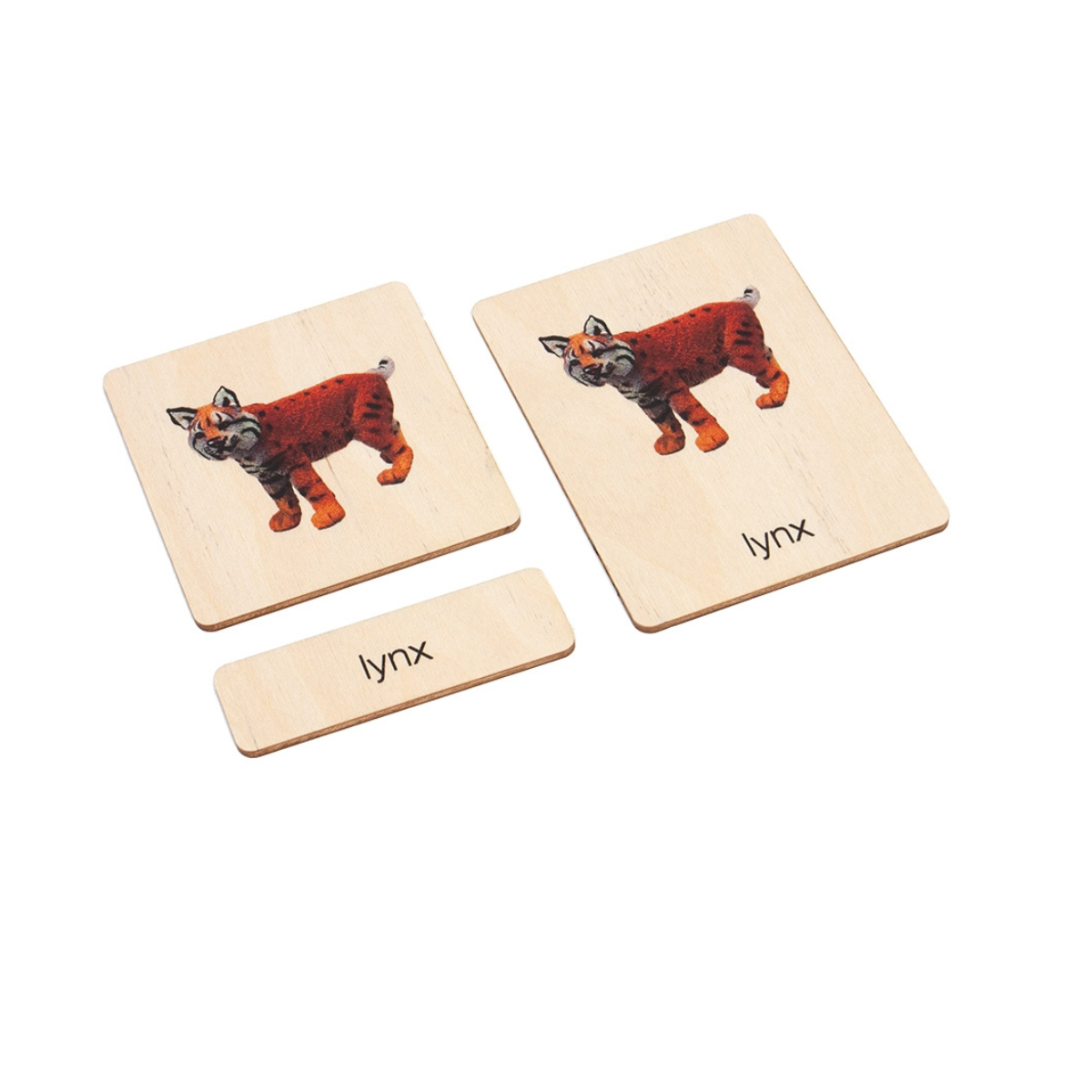 Mountain Animals Wooden Nomenclature Cards (3-6) (Printed)
