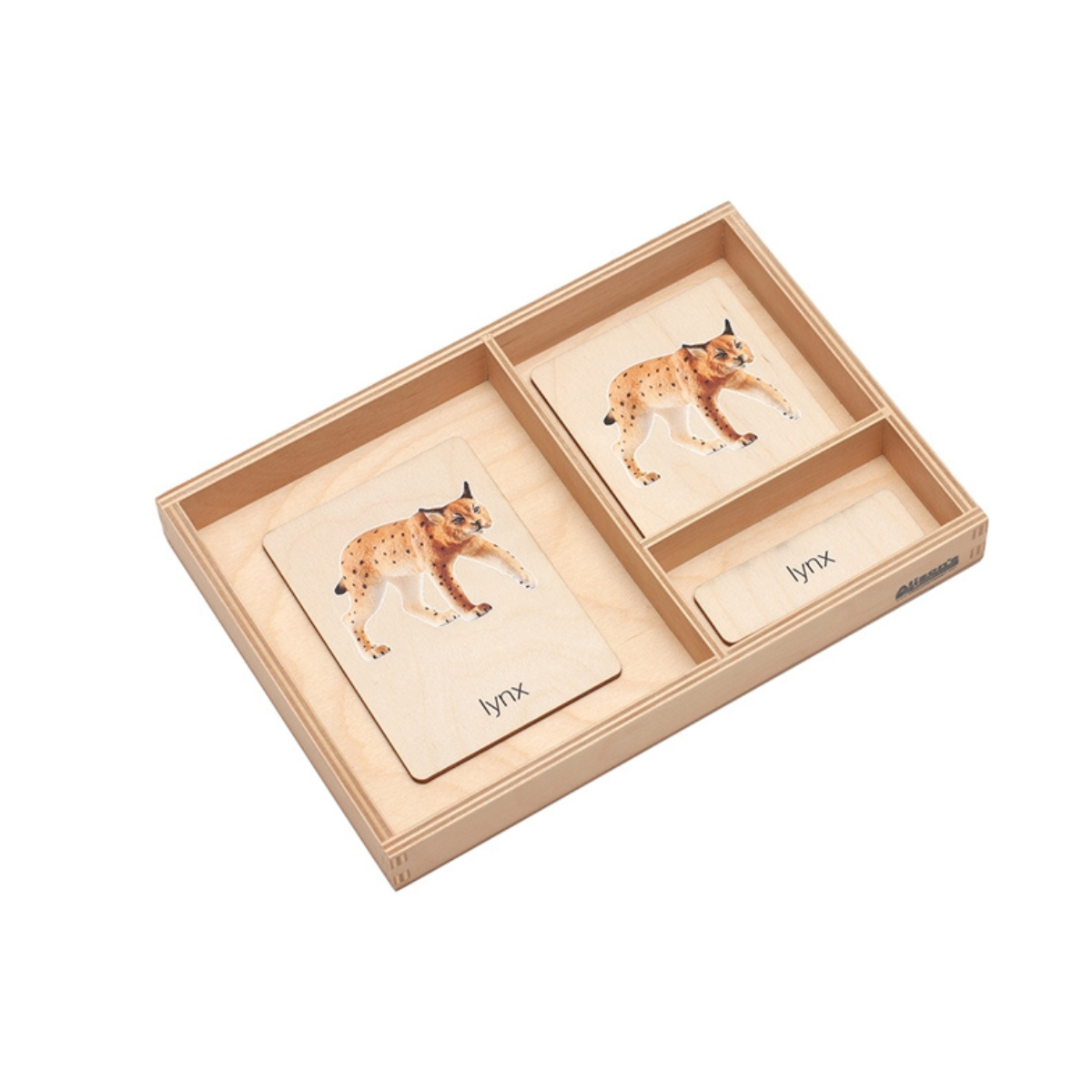 Animals of Europe Wooden Nomenclature Cards (3-6) (Printed)