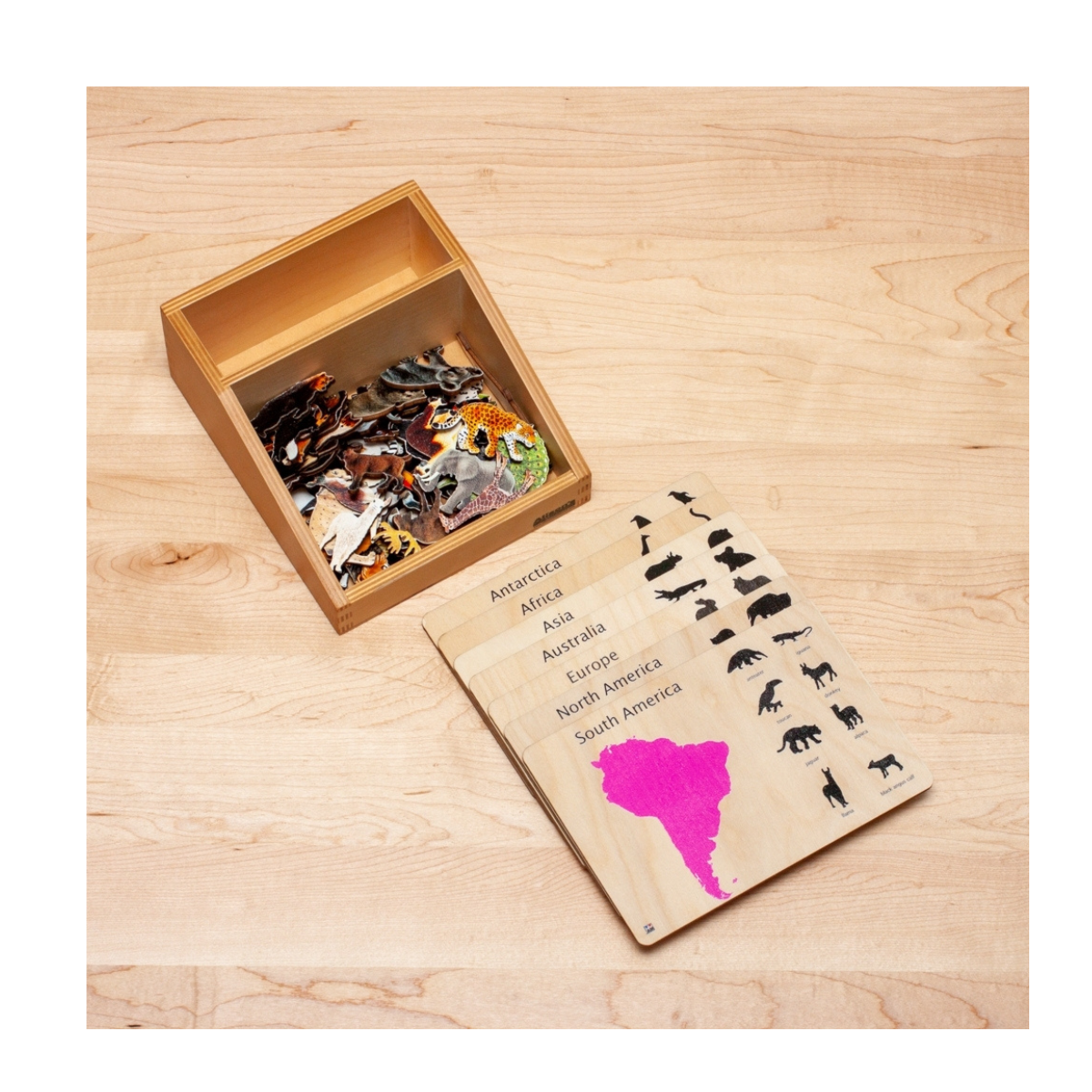 Animals of the Continents