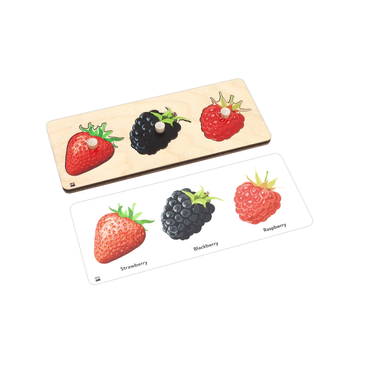 Types of Fruits Knobbed Puzzle