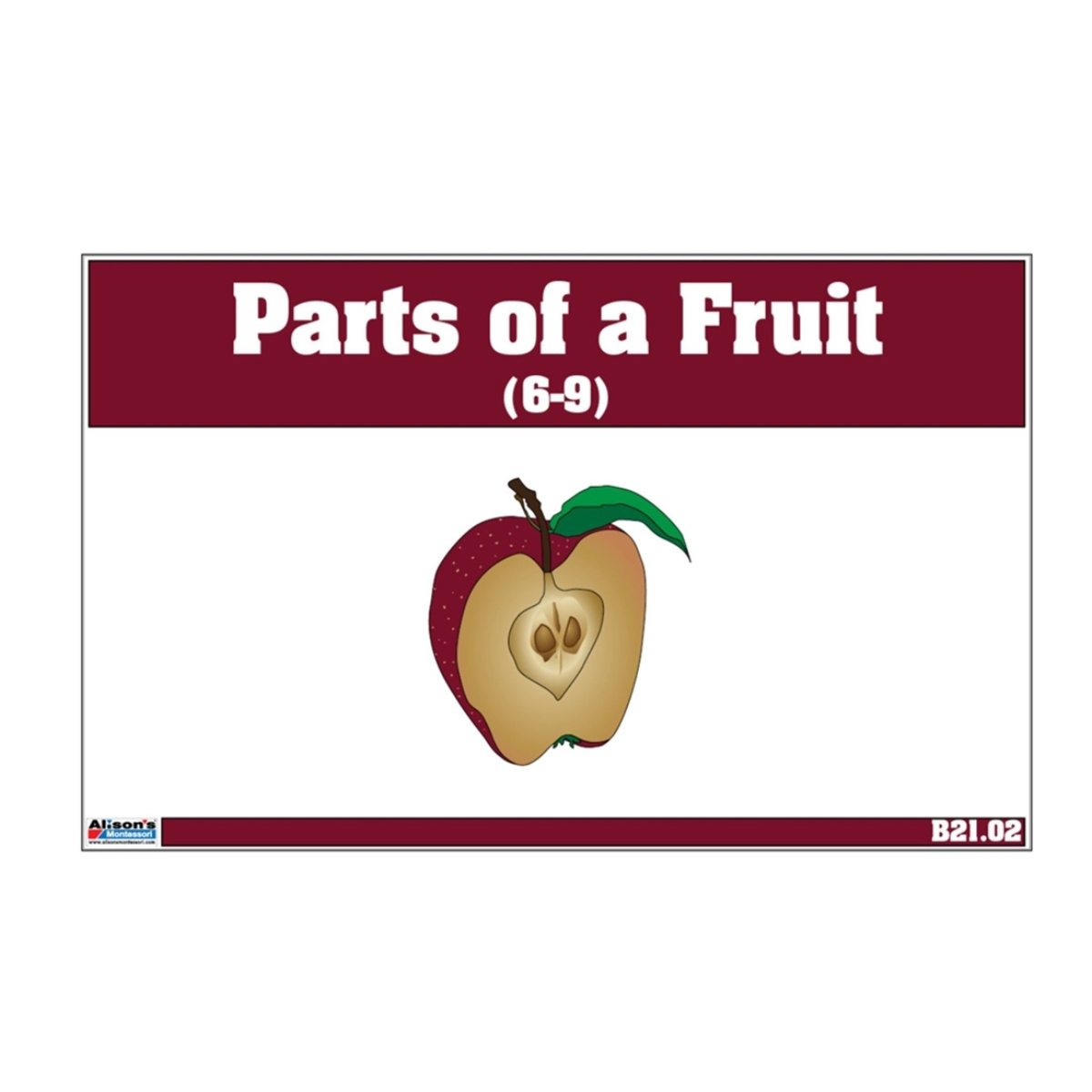 Parts of a Fruit Puzzle with Nomenclature Cards (6-9)