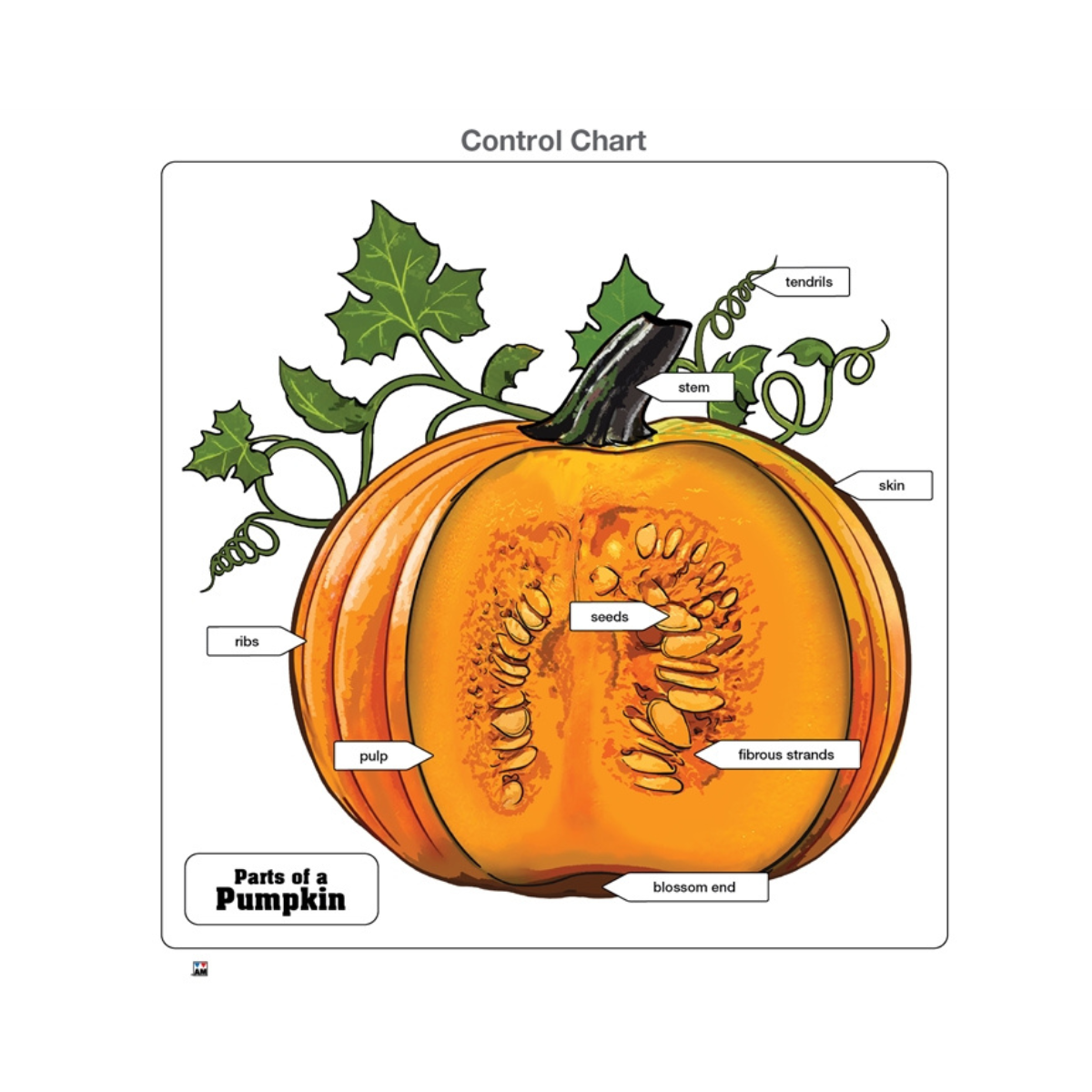 Parts of a Pumpkin Puzzle