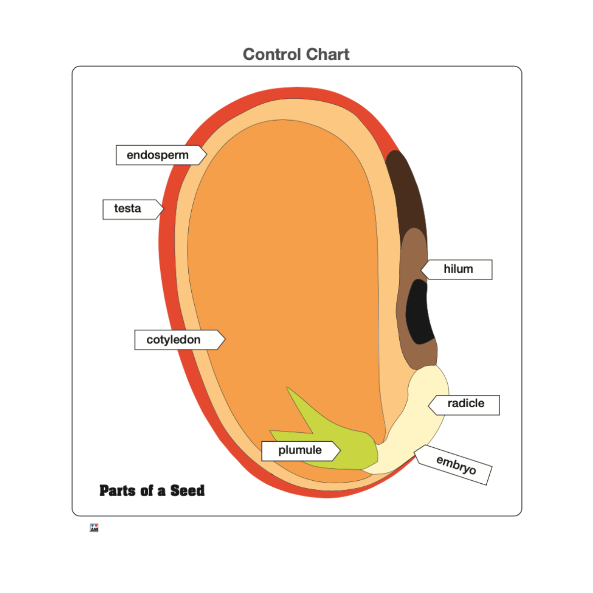 Parts of a Seed Puzzle