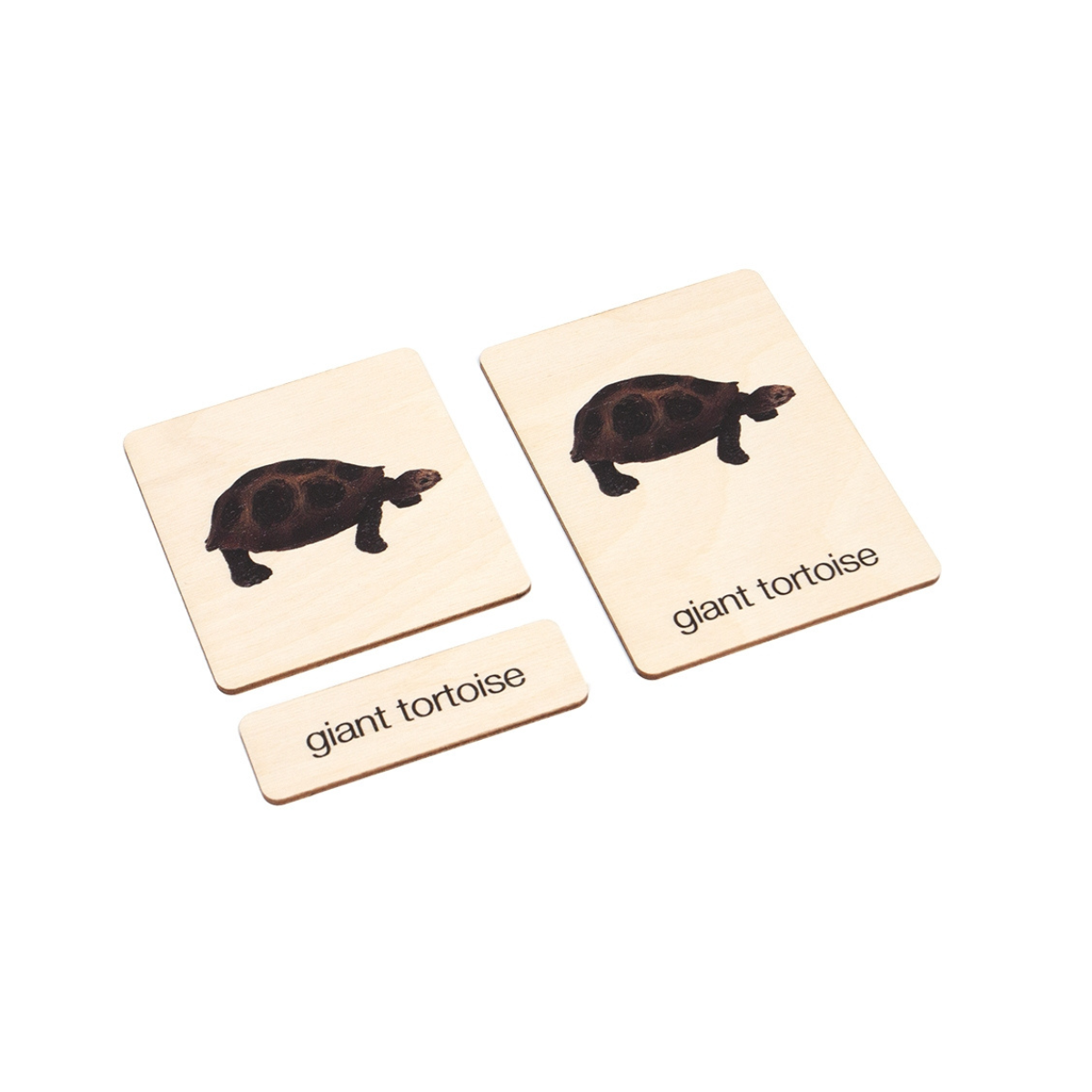 Desert Animals Wooden Nomenclature Cards (3-6) (Printed)