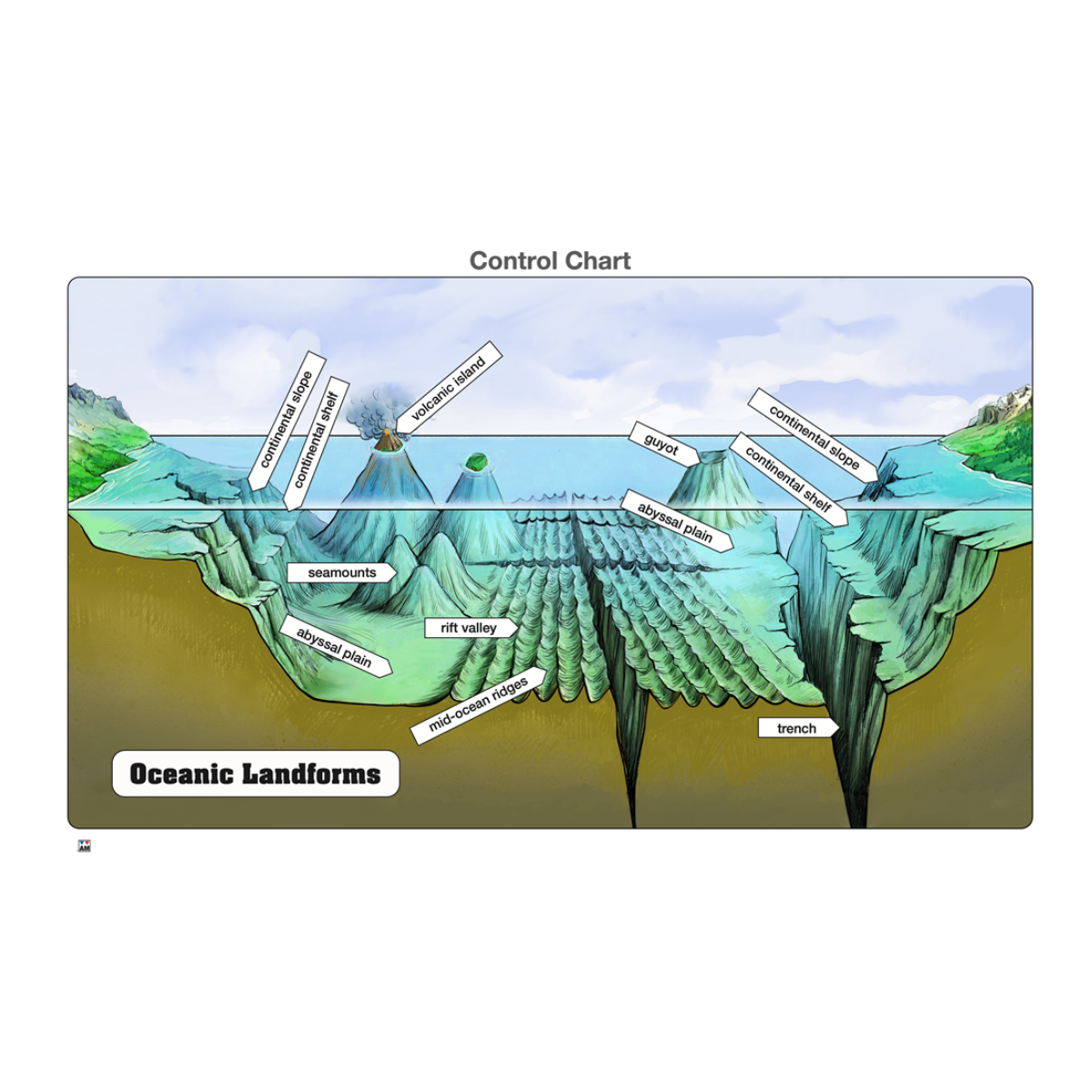 Oceanic Landforms Puzzle