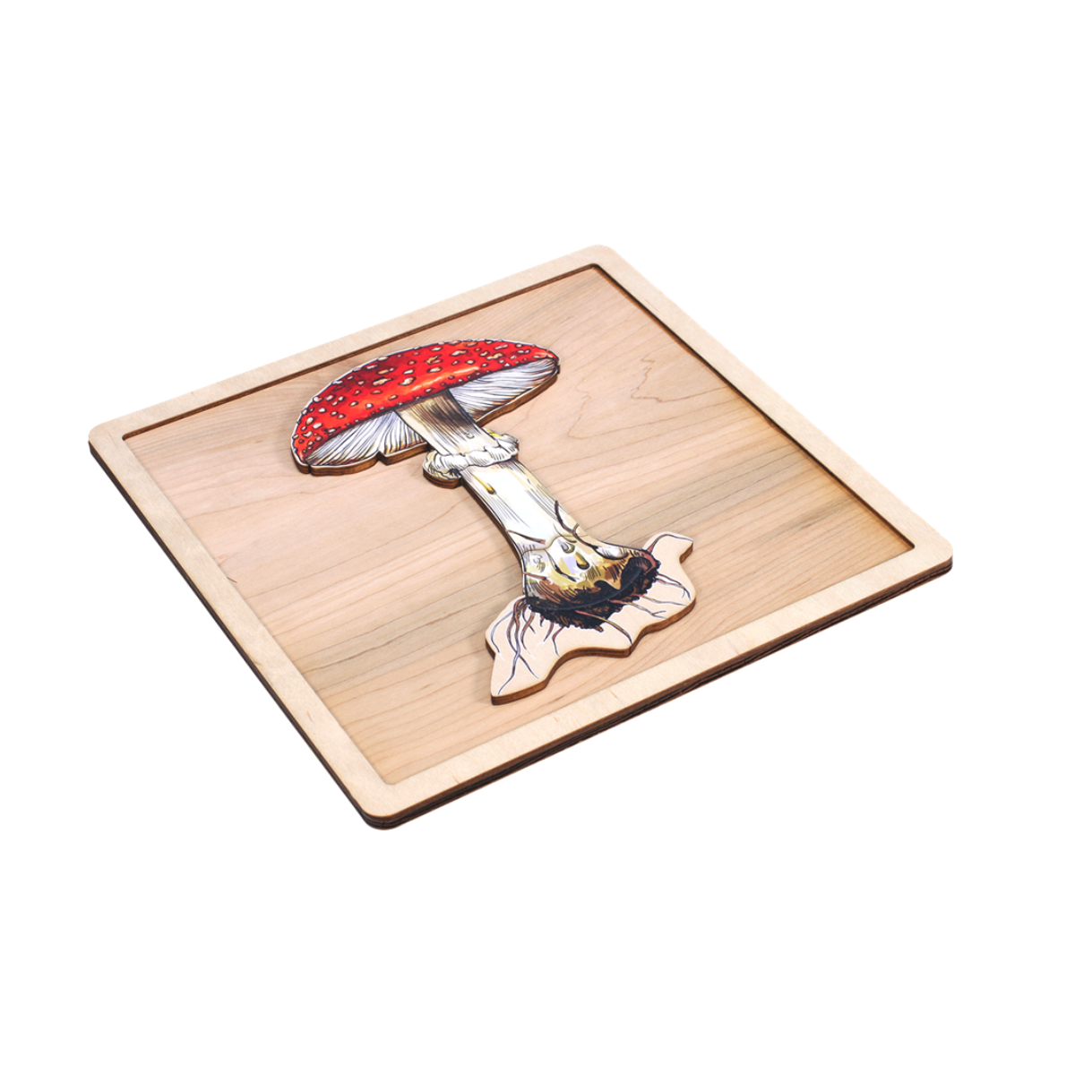 Parts of a Mushroom Puzzle with Nomenclature Cards (3-6)