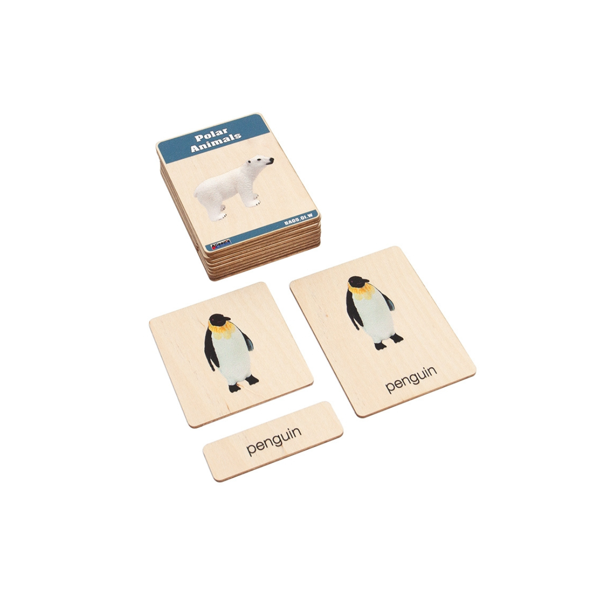 Polar Region Animals Wooden Nomenclature Cards (3-6) (Printed)