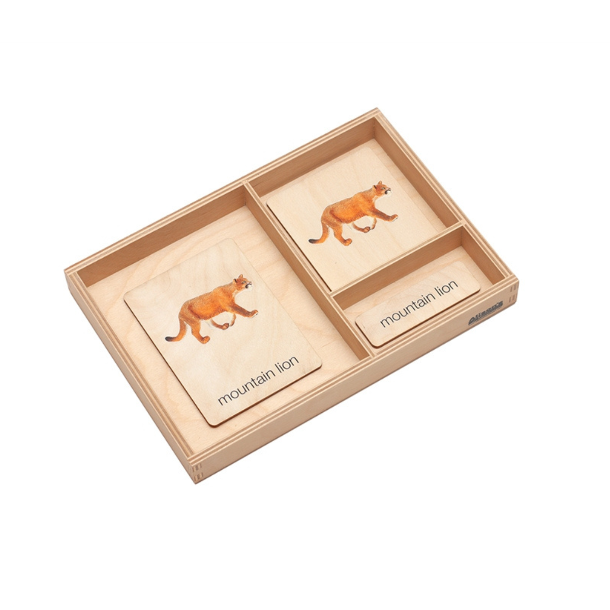 Animals of North America Wooden Nomenclature Cards (3-6) (Printed)