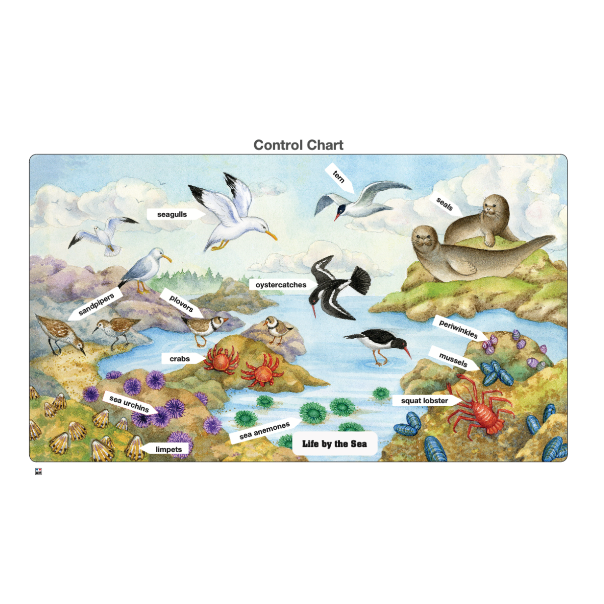 Life by the Sea Puzzle