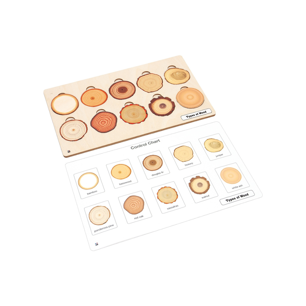 Types of Wood Puzzle with Nomenclature Cards 3-6 (Printed)