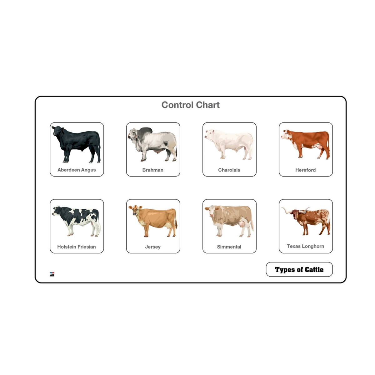 Types of Cattle Puzzle
