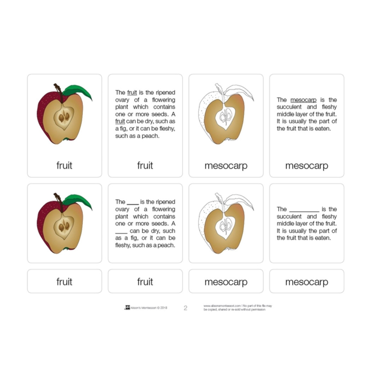 Parts of a Fruit Puzzle with Nomenclature Cards (6-9)