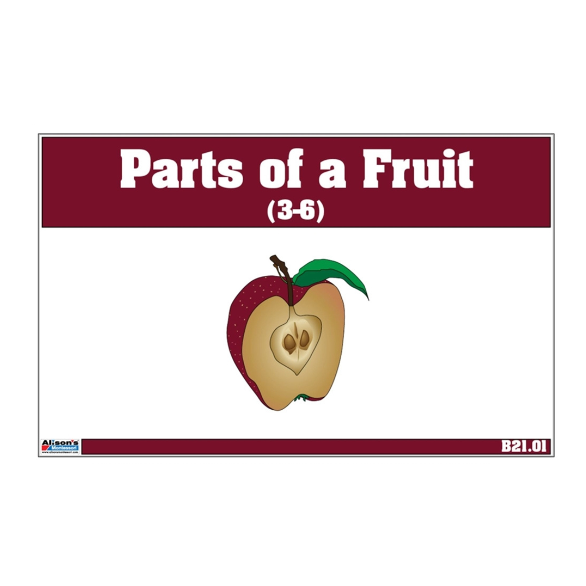 Parts of a Fruit Puzzle with Nomenclature Cards (3-6)