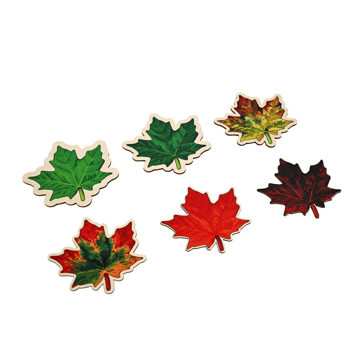 Life of a Maple Leaf Layered Puzzle