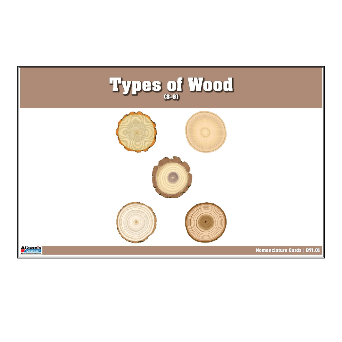Types of Wood Puzzle with Nomenclature Cards 3-6 (Printed)