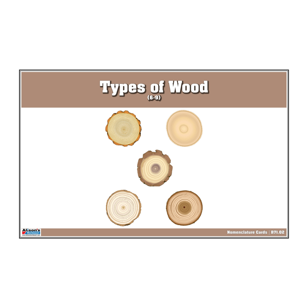 Types of Wood Puzzle with Nomenclature Cards 6-9 (Printed)