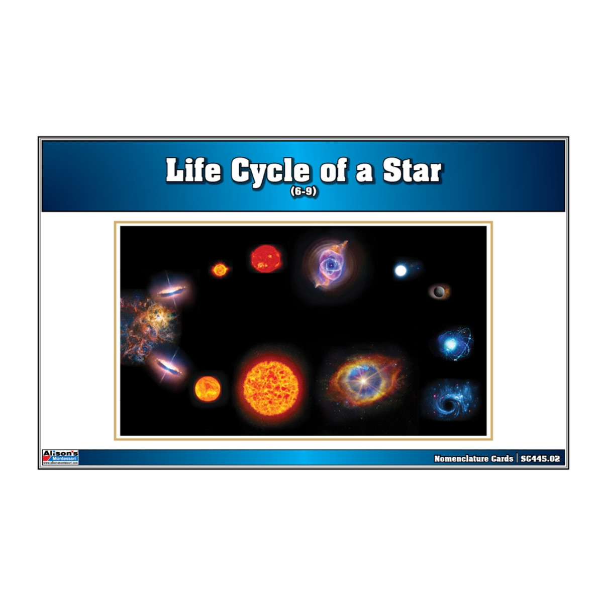 Life Cycle of a Star Puzzle with Nomenclature Cards (6-9)