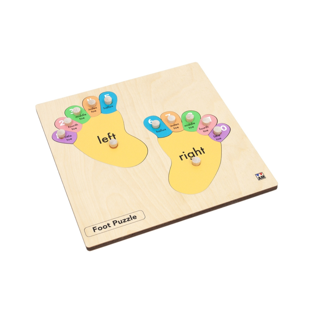 Hand and Foot Puzzle